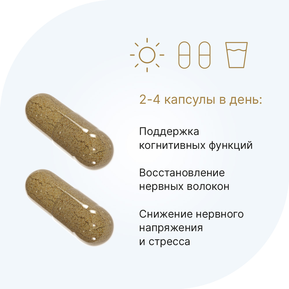 Ежовик гребенчатый капсулы, 60 шт, Evalar Laboratory