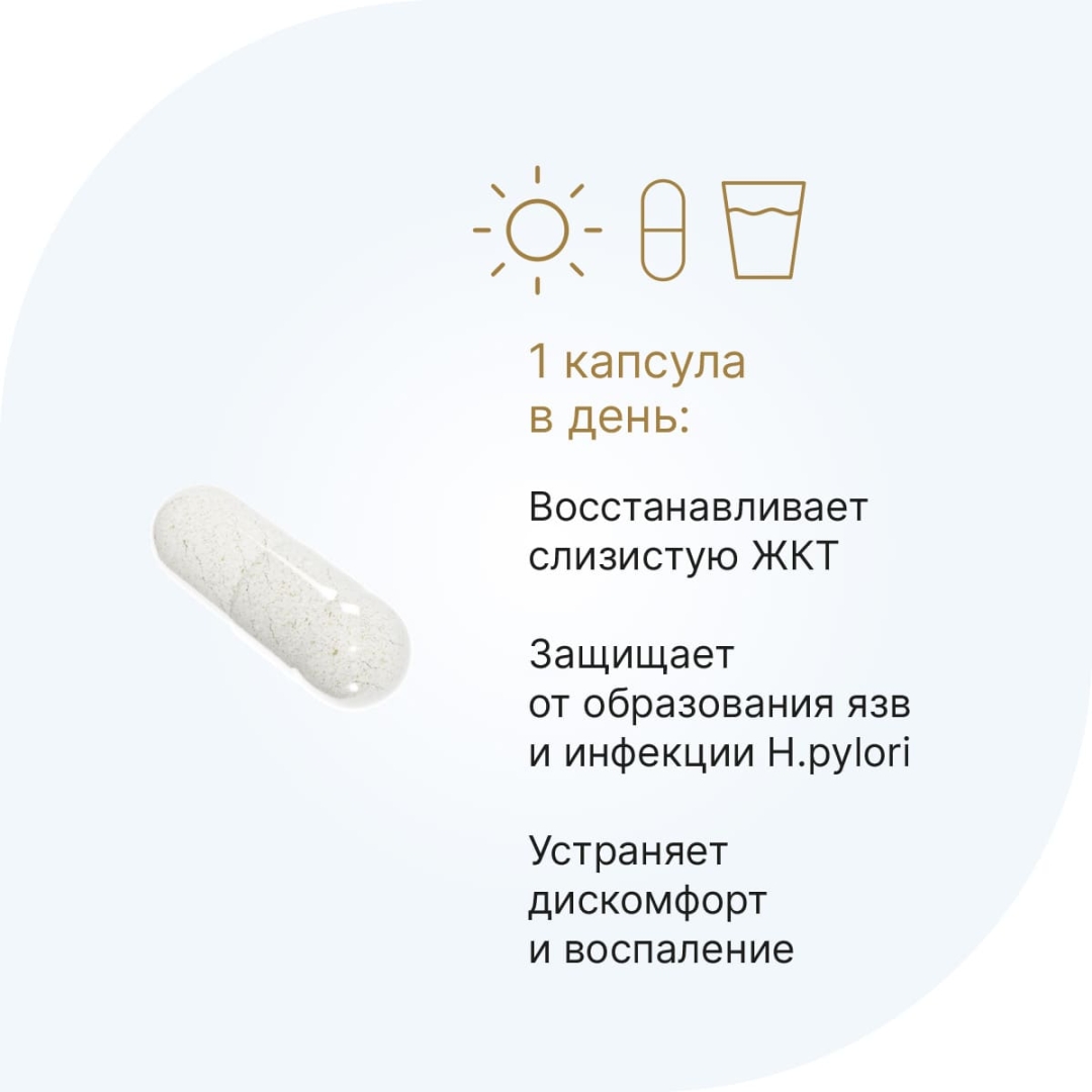 Цинк-L карнозин Гастро капсулы, 60 шт.